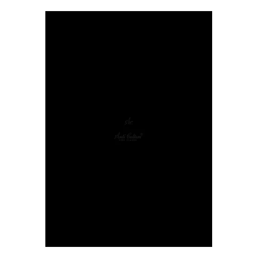 Sanchi Collection logo